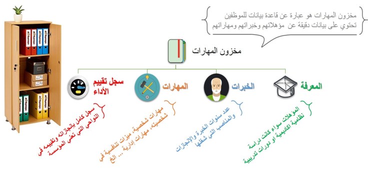 المهارات والخبرات اللازمة للوظيفة